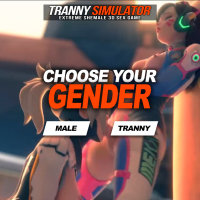 TrannySimulator